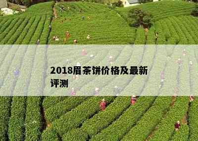 2018眉茶饼价格及最新评测