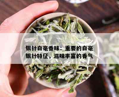 银针白毫香味：重要的白毫银针特征，滋味丰富的香气