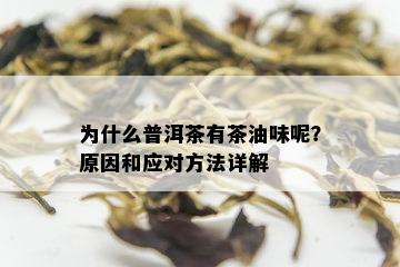 为什么普洱茶有茶油味呢？原因和应对方法详解