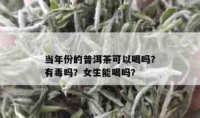 当年份的普洱茶可以喝吗？有吗？女生能喝吗？