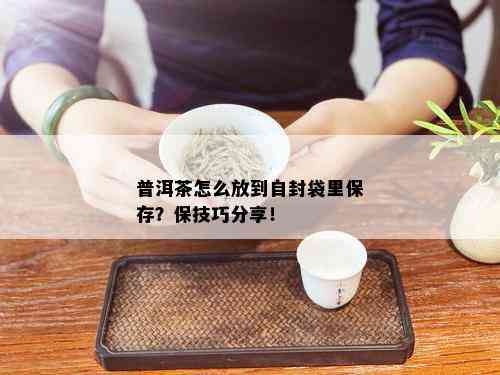 普洱茶怎么放到自封袋里保存？保技巧分享！