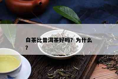 白茶比普洱茶好吗？为什么？