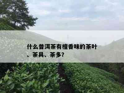 什么普洱茶有檀香味的茶叶、茶具、茶多？