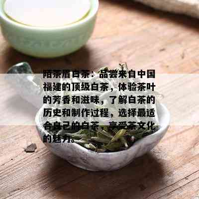 陌茶眉白茶：品尝来自中国福建的顶级白茶，体验茶叶的芳香和滋味，了解白茶的历史和制作过程，选择最适合自己的白茶，享受茶文化的魅力。