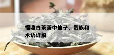 福鼎白茶茶中仙子、贵族和术语详解