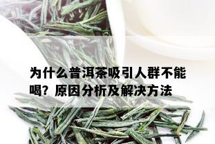 为什么普洱茶吸引人群不能喝？原因分析及解决方法