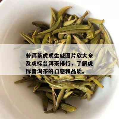 普洱茶虎虎生威图片欣大全及虎标普洱茶排行，了解虎标普洱茶的口感和品质。