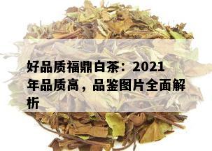 好品质福鼎白茶：2021年品质高，品鉴图片全面解析