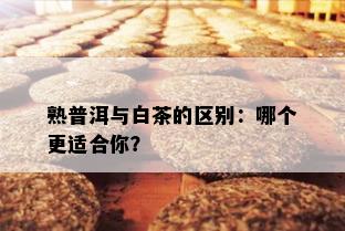 熟普洱与白茶的区别：哪个更适合你？