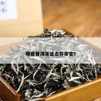 哪些普洱茶适合存茶室？