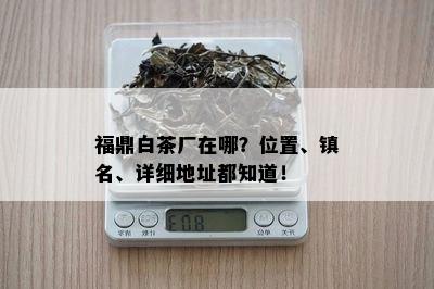 福鼎白茶厂在哪？位置、镇名、详细地址都知道！