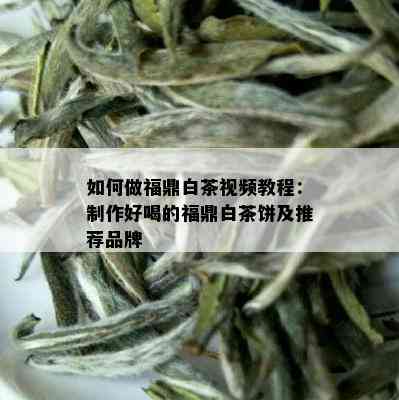 如何做福鼎白茶视频教程：制作好喝的福鼎白茶饼及推荐品牌