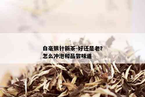 白毫银针新茶-好还是老？怎么冲泡和品尝味道