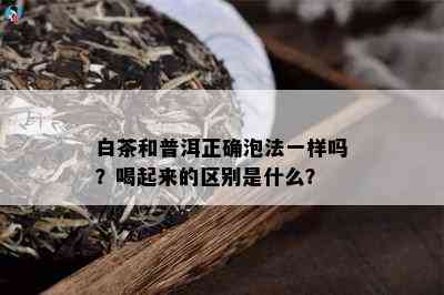 白茶和普洱正确泡法一样吗？喝起来的区别是什么？