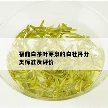 福鼎白茶叶芽泉的白牡丹分类标准及评价