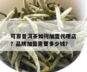 可靠普洱茶如何加盟代理店？品牌加盟需要多少钱？