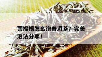 菩提根怎么泡普洱茶？完美泡法分享！