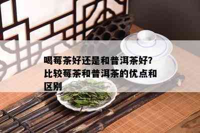 喝莓茶好还是和普洱茶好？比较莓茶和普洱茶的优点和区别