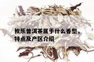 攸乐普洱茶属于什么香型，特点及产区介绍