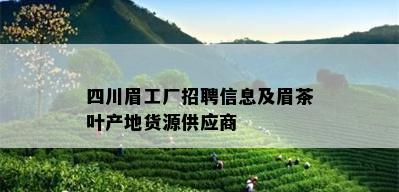 四川眉工厂招聘信息及眉茶叶产地货源供应商