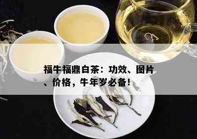 福牛福鼎白茶：功效、图片、价格，牛年岁必备！