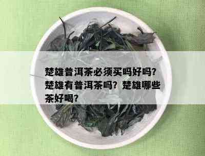 楚雄普洱茶必须买吗好吗？楚雄有普洱茶吗？楚雄哪些茶好喝？