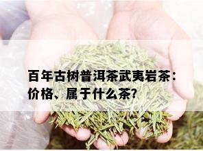 百年古树普洱茶武夷岩茶：价格、属于什么茶？