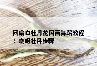 团扇白牡丹花国画舞蹈教程：晓明牡丹步骤