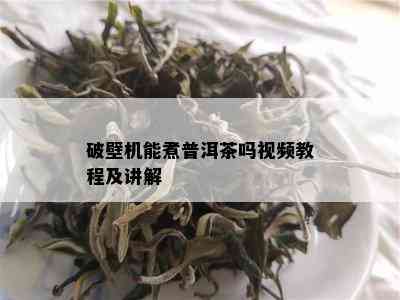 破壁机能煮普洱茶吗视频教程及讲解