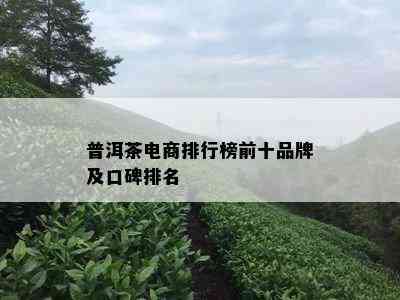 普洱茶电商排行榜前十品牌及口碑排名