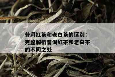 普洱红茶和老白茶的区别：完整解析普洱红茶和老白茶的不同之处