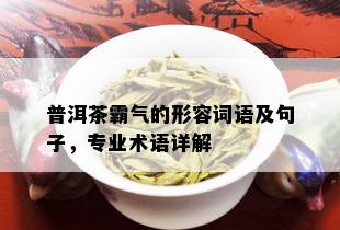 普洱茶霸气的形容词语及句子，专业术语详解