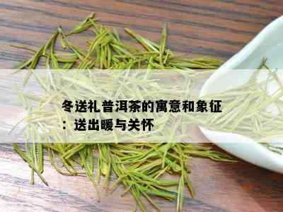 冬送礼普洱茶的寓意和象征：送出暖与关怀