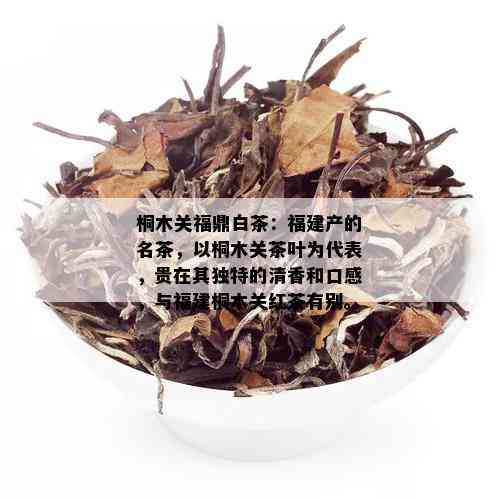 桐木关福鼎白茶：福建产的名茶，以桐木关茶叶为代表，贵在其独特的清香和口感，与福建桐木关红茶有别。