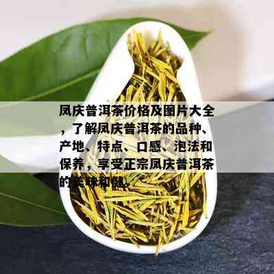 凤庆普洱茶价格及图片大全，了解凤庆普洱茶的品种、产地、特点、口感、泡法和保养，享受正宗凤庆普洱茶的美味和健。