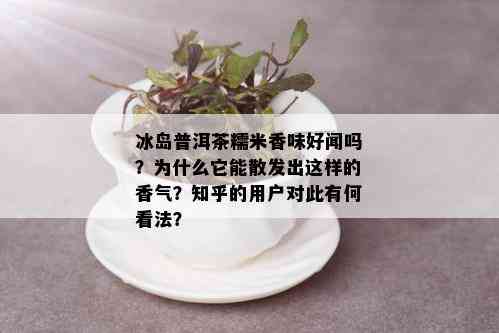 冰岛普洱茶糯米香味好闻吗？为什么它能散发出这样的香气？知乎的用户对此有何看法？