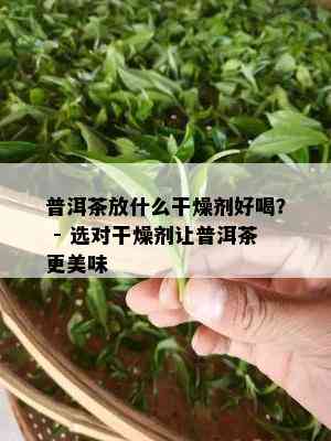 普洱茶放什么干燥剂好喝？ - 选对干燥剂让普洱茶更美味