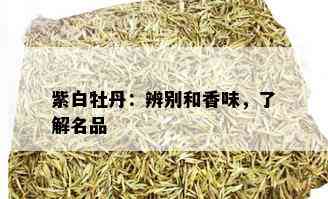 紫白牡丹：辨别和香味，了解名品