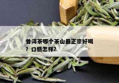 普洱茶哪个茶山最正宗好喝？口感怎样？