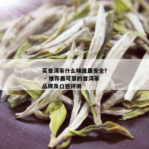 买普洱茶什么味道最安全？ - 推荐最可靠的普洱茶品牌及口感评测