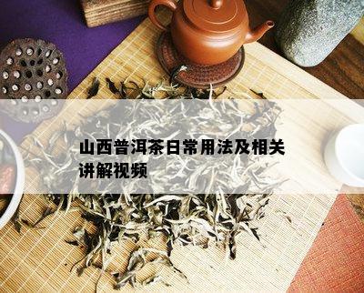 山西普洱茶日常用法及相关讲解视频