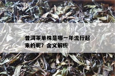 普洱茶单株是哪一年流行起来的呢？含义解析