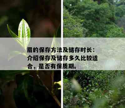 眉的保存方法及储存时长：介绍保存及储存多久比较适合，是否有保质期。