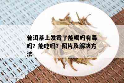 普洱茶上发霉了能喝吗有吗？能吃吗？图片及解决方法