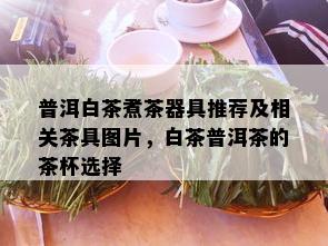 普洱白茶煮茶器具推荐及相关茶具图片，白茶普洱茶的茶杯选择