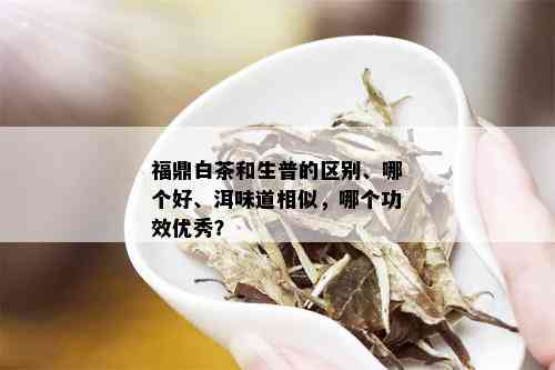 福鼎白茶和生普的区别、哪个好、洱味道相似，哪个功效优秀？