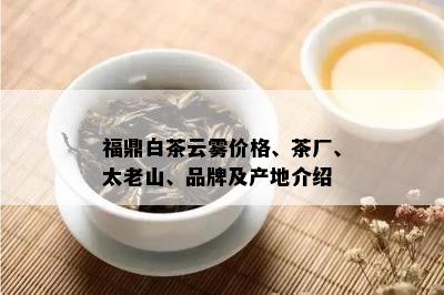 福鼎白茶云雾价格、茶厂、太老山、品牌及产地介绍