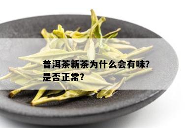 普洱茶新茶为什么会有味？是否正常？