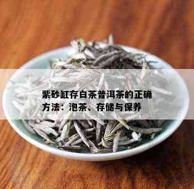 紫砂缸存白茶普洱茶的正确方法：泡茶、存储与保养