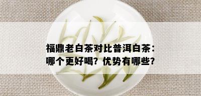 福鼎老白茶对比普洱白茶：哪个更好喝？优势有哪些？